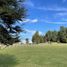  Terreno (Parcela) en venta en Araucanía, Villarrica, Cautín, Araucanía