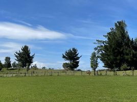  Terreno (Parcela) en venta en Araucanía, Villarrica, Cautín, Araucanía