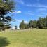  Terreno (Parcela) en venta en Araucanía, Villarrica, Cautín, Araucanía