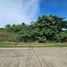  Land for sale at Playa Calatagan village, Calatagan