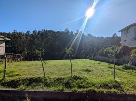  Terreno (Parcela) en venta en Rumiñahui, Pichincha, Sangolqui, Rumiñahui