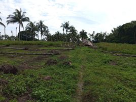  Grundstück zu verkaufen in Negros Oriental, Negros Island Region, Dauin