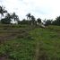  Terrain for sale in Negros Oriental, Negros Island Region, Dauin, Negros Oriental