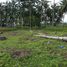  Terrain for sale in Negros Oriental, Negros Island Region, Dauin, Negros Oriental