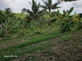  Grundstück zu verkaufen in Aloguinsan, Central Visayas, Aloguinsan