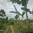  Grundstück zu verkaufen in Aloguinsan, Central Visayas, Aloguinsan