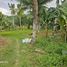  Grundstück zu verkaufen in Aloguinsan, Central Visayas, Aloguinsan