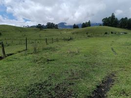  Land for sale in El Carmen De Viboral, Antioquia, El Carmen De Viboral