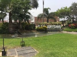 在Lima, Lima出售的 土地, Carabayllo, Lima