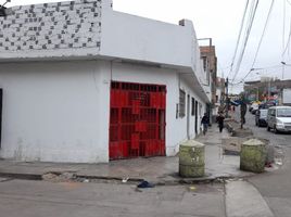  Terreno (Parcela) en venta en San Martin de Porres, Lima, San Martin de Porres