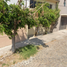 3 Bedroom House for sale in Corregidora, Queretaro, Corregidora