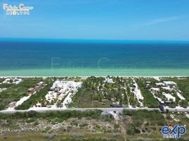  Grundstück zu verkaufen in Dzemul, Yucatan, Dzemul