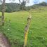  Land for sale in Villapinzon Cundinamarca, Villapinzon