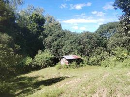  Land for sale in Rosales, Pangasinan, Rosales