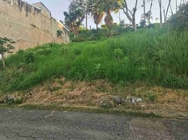  Terreno (Parcela) en venta en Fusagasuga, Cundinamarca, Fusagasuga