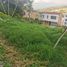  Terreno (Parcela) en venta en Fusagasuga, Cundinamarca, Fusagasuga