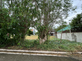  Land for sale in Cabuyao City, Laguna, Cabuyao City