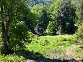  Terrain for sale in Curarrehue, Cautin, Curarrehue