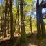  Terrain for sale in Curarrehue, Cautin, Curarrehue