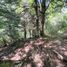  Terrain for sale in Curarrehue, Cautin, Curarrehue
