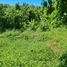  Land for sale in Sukawati, Gianyar, Sukawati