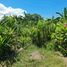  Land for sale in Sukawati, Gianyar, Sukawati