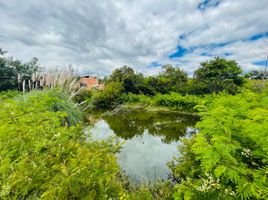  Terreno (Parcela) en venta en Sutamarchan, Boyaca, Sutamarchan