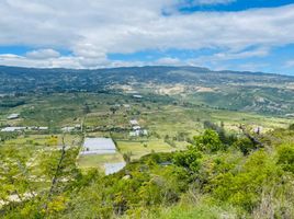  Grundstück zu verkaufen in Villa De Leyva, Boyaca, Villa De Leyva