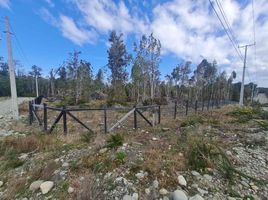  Terrain for sale in Llanquihue, Los Lagos, Puerto Montt, Llanquihue