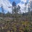  Terrain for sale in Llanquihue, Los Lagos, Puerto Montt, Llanquihue