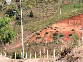  Terreno (Parcela) en venta en Valle Del Cauca, Dagua, Valle Del Cauca