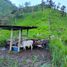  Villa zu verkaufen in San Miguel De Los Bancos, Pichincha, San Miguel De Los Bancos, San Miguel De Los Bancos