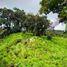  Villa en venta en San Miguel de los Bancos, Pichincha, San Miguel De Los Bancos, San Miguel de los Bancos