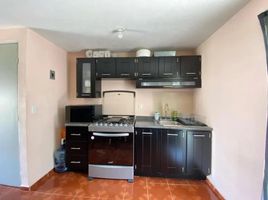 3 Schlafzimmer Haus zu verkaufen in Rio Blanco, Veracruz, Rio Blanco