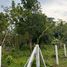  Land for sale in Cavite, Calabarzon, Amadeo, Cavite