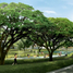  Land for sale in Las Pinas City, Metro Manila, Las Pinas City