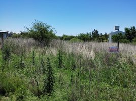  Land for sale in Calamuchita, Cordoba, Calamuchita