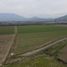  Terreno (Parcela) en venta en Chile, Requinao, Cachapoal, Libertador General Bernardo O'Higgins, Chile