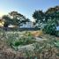  토지을(를) Jocotepec, 할리 스코에서 판매합니다., Jocotepec