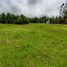  Land for sale in Llanquihue, Los Lagos, Los Muermos, Llanquihue