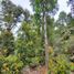  Land for sale in Llanquihue, Los Lagos, Los Muermos, Llanquihue
