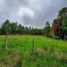  Land for sale in Llanquihue, Los Lagos, Los Muermos, Llanquihue