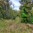  Land for sale in Llanquihue, Los Lagos, Los Muermos, Llanquihue