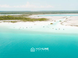 1 Schlafzimmer Appartement zu verkaufen in Othon P Blanco, Quintana Roo, Othon P Blanco