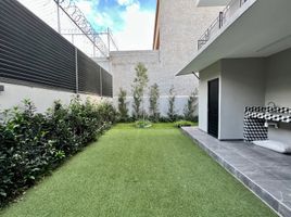 450 제곱미터입니다 Office for rent in 할리 스코, 과달라하라, 할리 스코