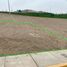  Land for sale in Mala, Lima, Mala