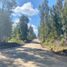 Terreno (Parcela) en venta en Maule, Pelluhue, Cauquenes, Maule
