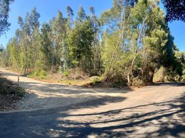  Terreno (Parcela) en venta en Maule, Pelluhue, Cauquenes, Maule