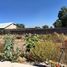  Terreno (Parcela) en venta en Mexquitic De Carmona, San Luis Potosí, Mexquitic De Carmona