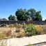  Terreno (Parcela) en venta en Mexquitic De Carmona, San Luis Potosí, Mexquitic De Carmona